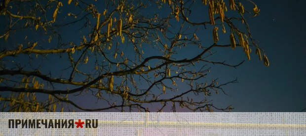 Одна из мощнейших геомагнитных бурь этого века зафиксирована на Земле