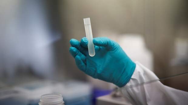 NYT: учёные призвали ещё раз тщательно изучить происхождение коронавируса