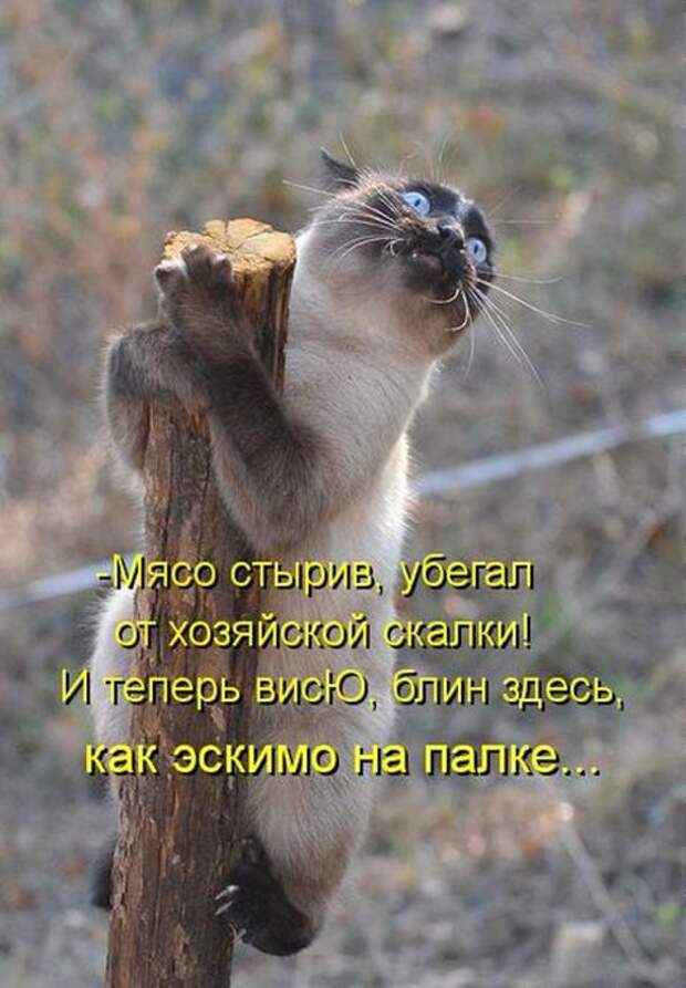 c7ef524daa978ebdd12c2686695