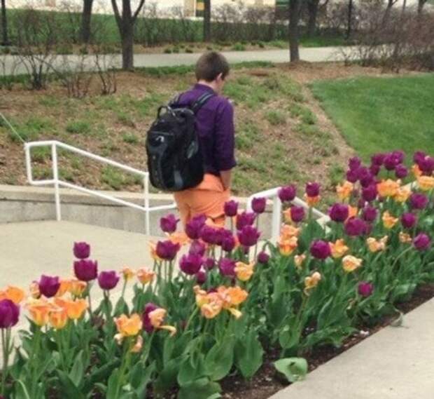 Неожиданные сходства и случайные совпадения на снимках