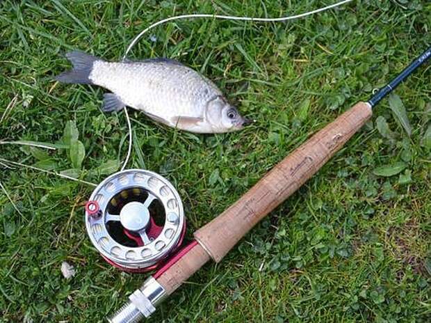 Фото: Геннадий Шеляг. 