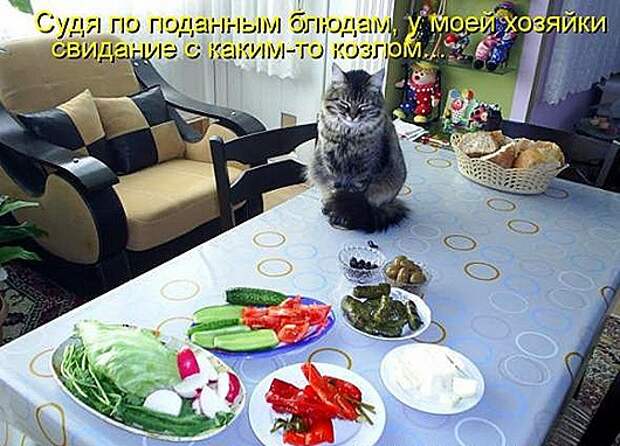 8413cdd7760c6dbd286d0f0a1d9_prev