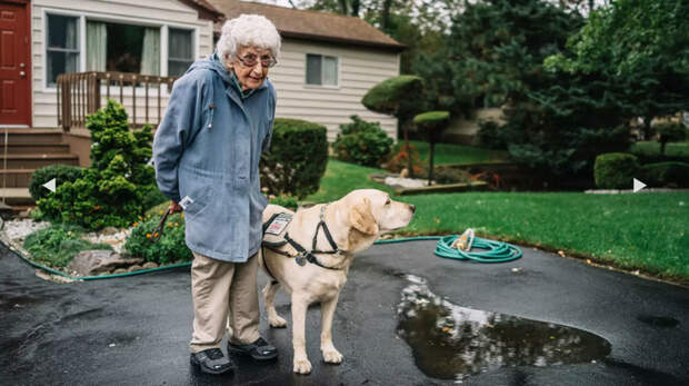 После знакомства с ним она перестала бояться выйти из дома ветеран, друг, пес, пожилой, служебная собака