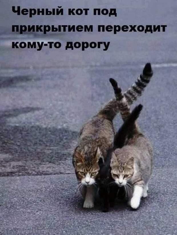 Свежие картинки с надписями четверга (15 шт)