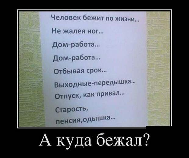 Демотиваторы (30 фото)
