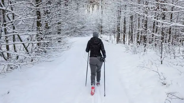 В Национальном фитнес-сообществе рассказали о пользе скандинавской ходьбы после COVID-19
