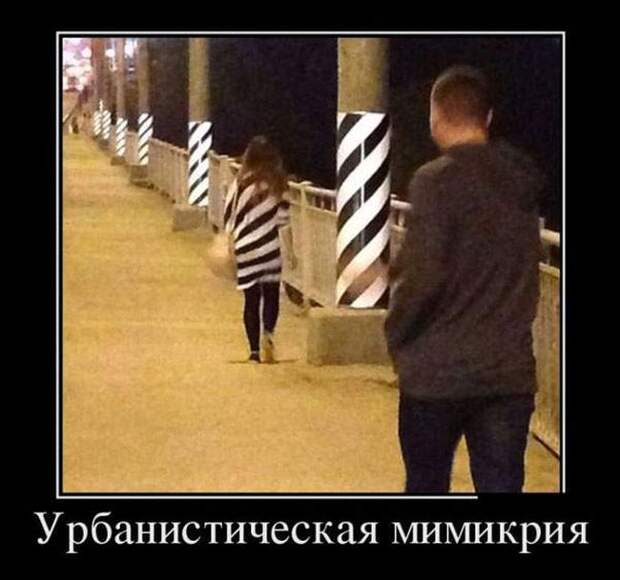 1449913931_24