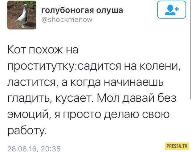 Свежая подборка смешных комментариев из социальных сетей и прикольных смс.