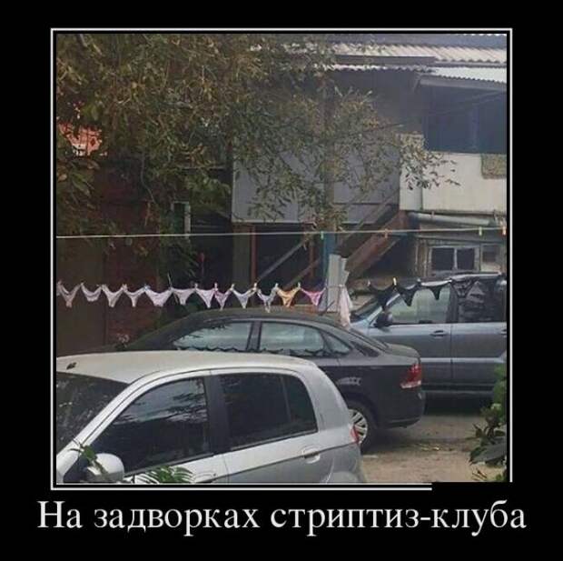 Демотиваторы