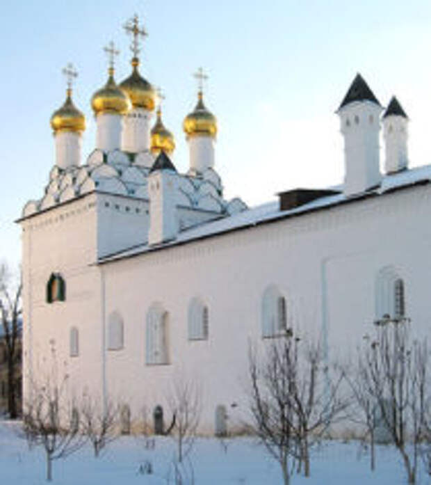Павлиний глаз в Волоколамске
