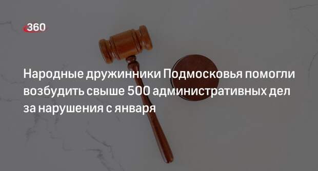 Народные дружинники Подмосковья помогли возбудить свыше 500 административных дел за нарушения с января
