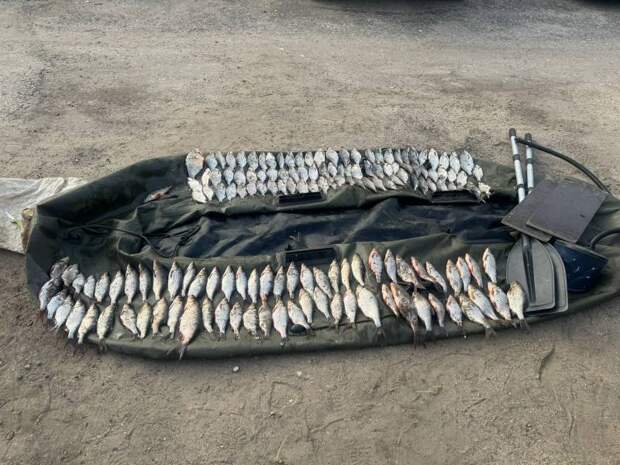 Полицейские задержали рыбных браконьеров в Смоленской области