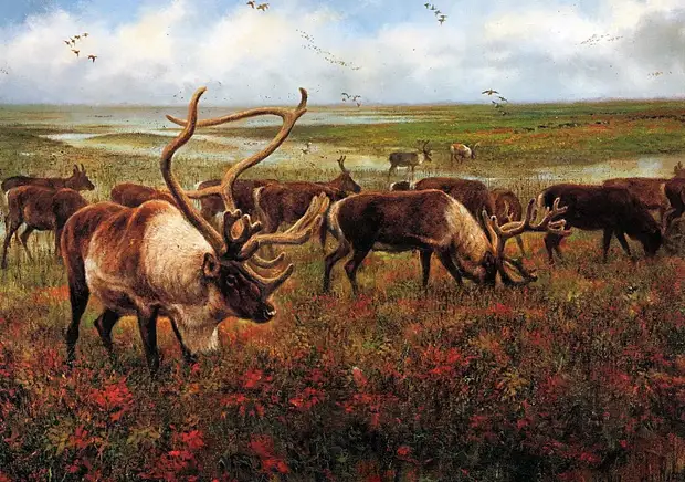 �������� ��� ���������.