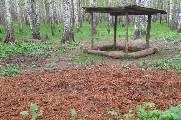 В Тамбовской области выявлены нарушения законодательства о сохранении охотничьих ресурсов