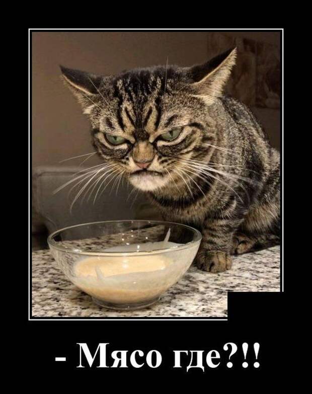 demotivatory-demotivator-smeshnye-demotivatory-demotivator-so-smyslom