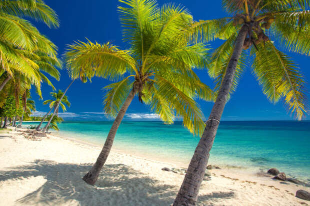 Пустынный пляж с кокосовыми пальмами на Фиджи
