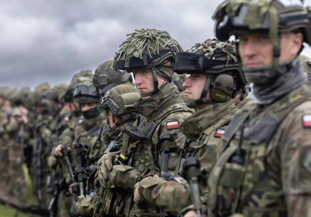 В Польше на учениях НАТО гусеничная машина переехала солдат