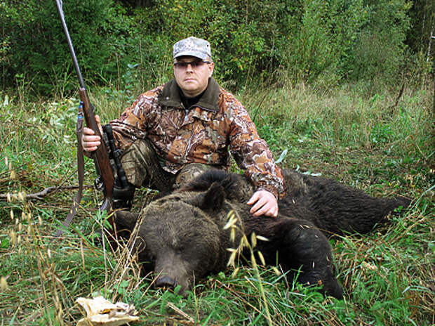 Бурый медведь — это гордость охотника за трофеями.