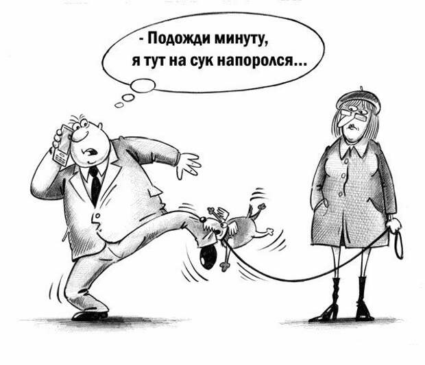 tLRrSGxhv50