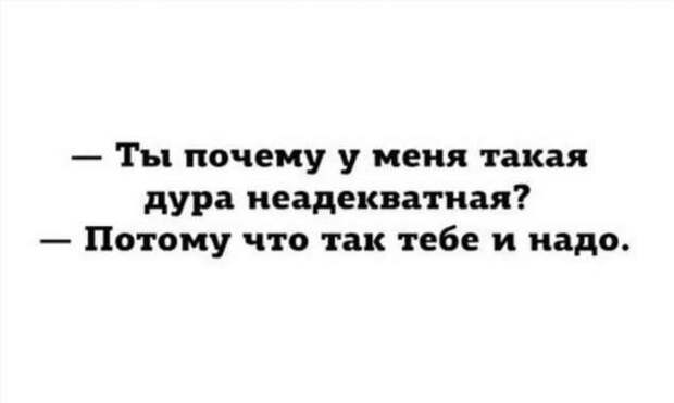 Неадекватный юмор из социальных сетей. Подборка chert-poberi-umor-chert-poberi-umor-42430616062020-4 картинка chert-poberi-umor-42430616062020-4