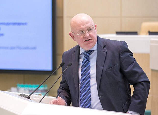 Замглавы МИД Украины Беца поспорила с Небензей о его национальности