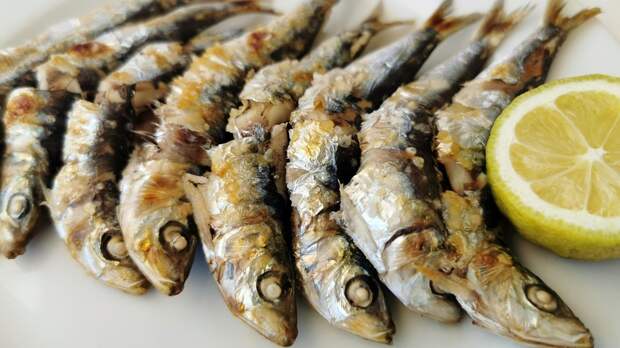 Сардины или анчоусы: что полезнее