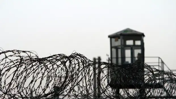 Юрист Ярмуш поддержала принятие закона о пожизненном заключении для педофилов