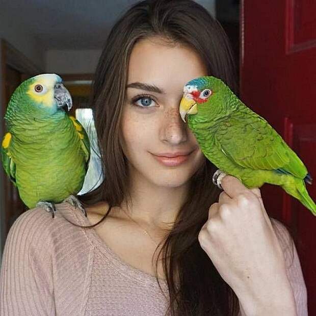 Не грустные картинки веселые картинки, фотографии, юмор