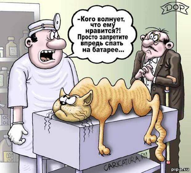 Смешные рисунки..))