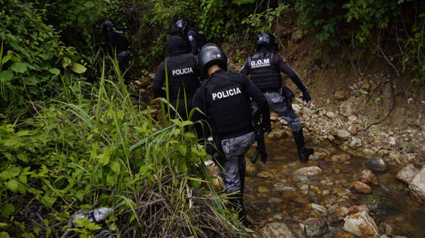 На пляже в Эквадоре обнаружили пять отрубленных человеческих голов