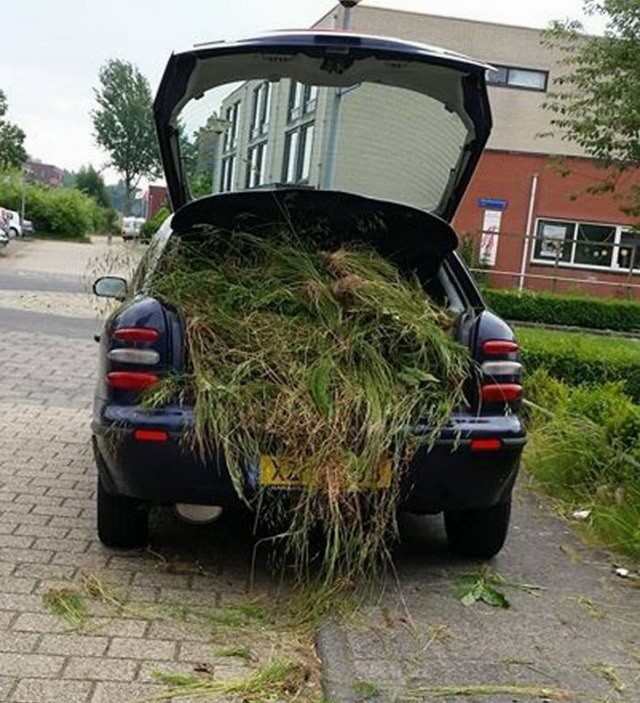 Свежая подборка авто приколов  авто, автоприколы, прикол, юмор