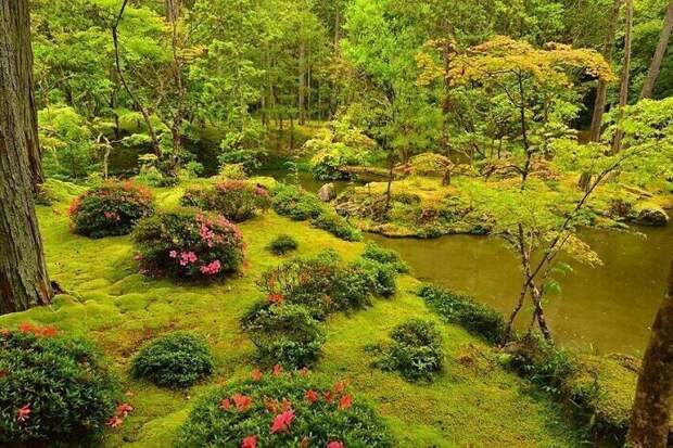 Монастырь-сад Сайходзи в Киото