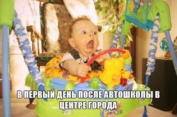 Смешные картинки с надписями прикол, юмор