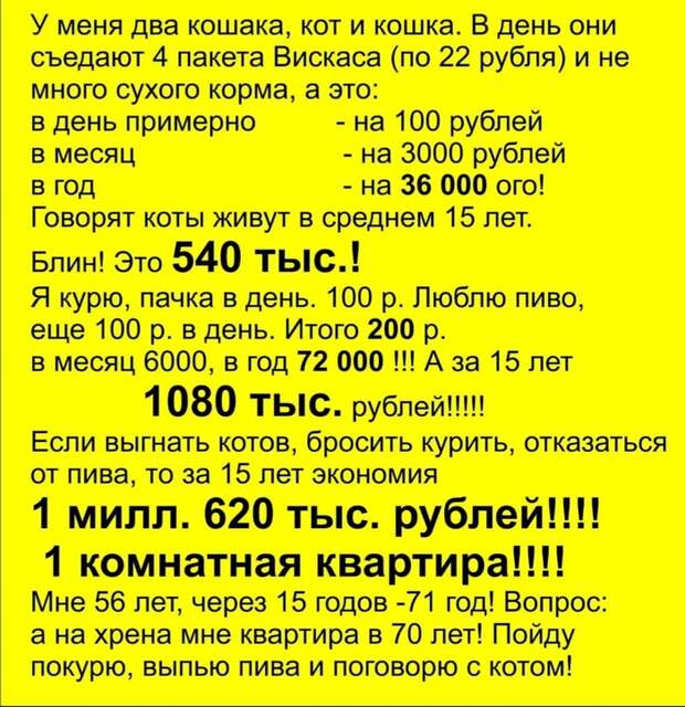 О табаке, пиве и котах. О табаке, пиве и котах.