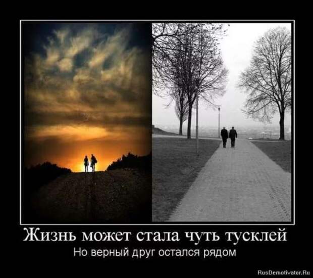 Прикольные демотиваторы с надписями. Подборка chert-poberi-dem-chert-poberi-dem-01590603092020-18 картинка chert-poberi-dem-01590603092020-18