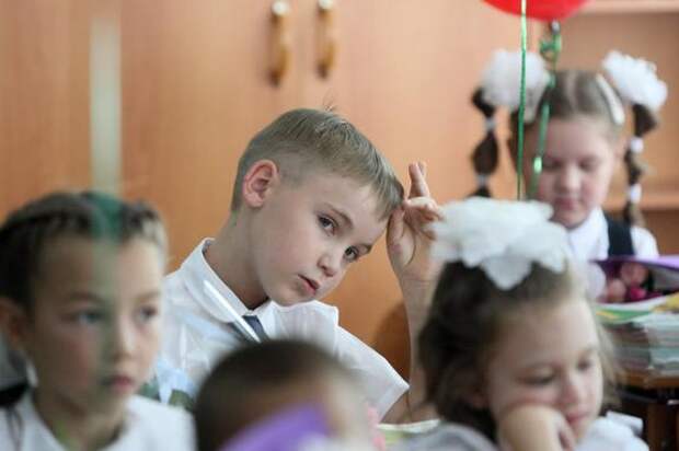 Депутат Смолин: школьников нельзя принуждать носить патриотические значки