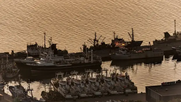 Землетрясение магнитудой 3,7 зафиксировали на Камчатке