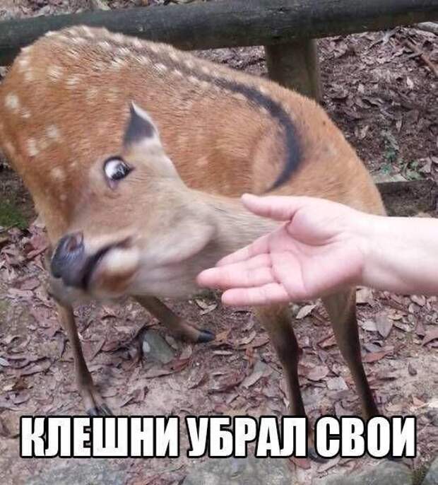1467746093_29