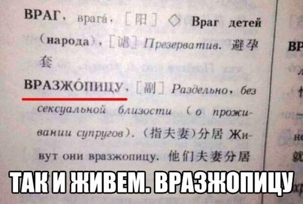 Прикольные картинки