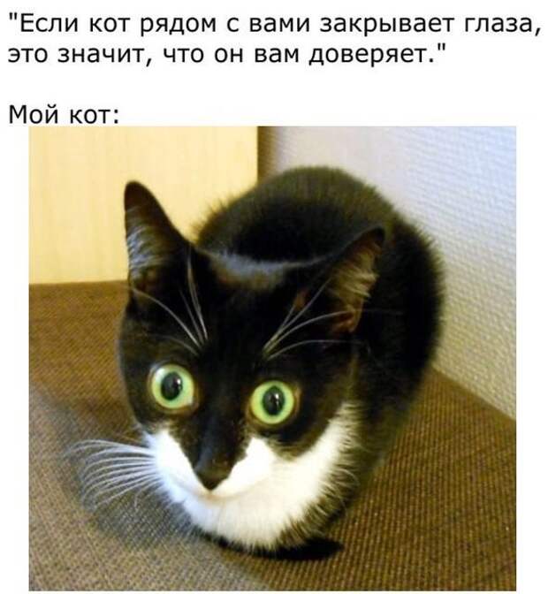 Смешные картинки с надписями приколы, смешные картинки, юмор