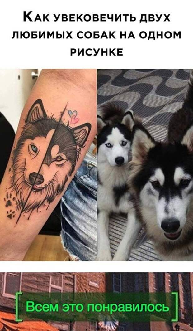 Прикольные и смешные картинки