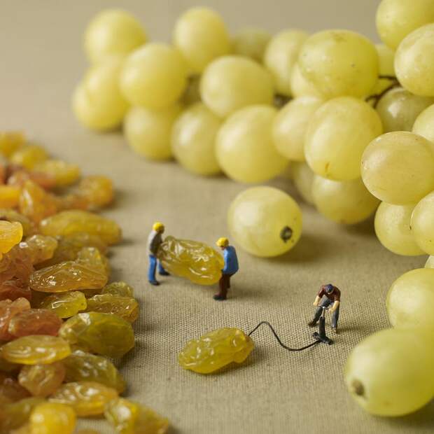 Minimiam10 Tiny People’s Adventures In The World of Food