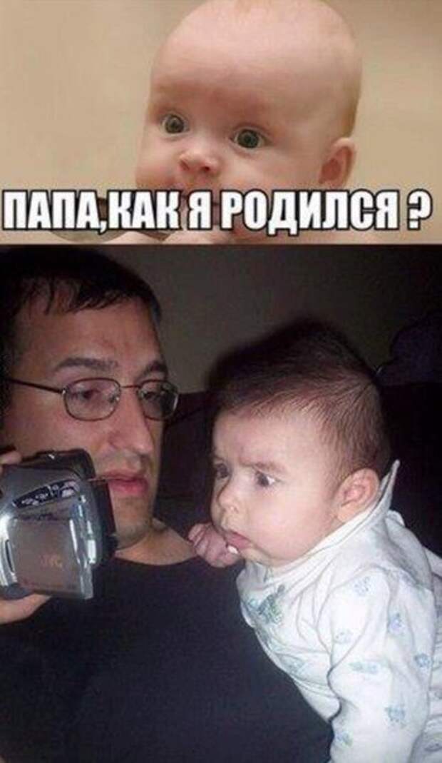 Прикольные фотомемы (28 шт)