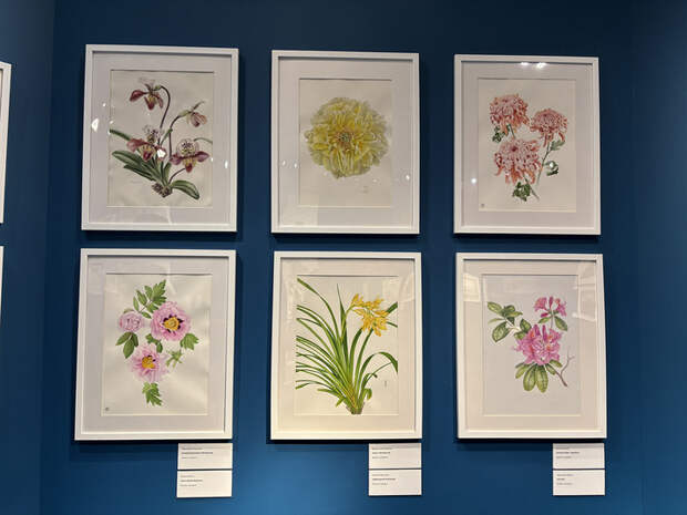 Из Москвы в Поднебесную: неожиданная выставка о Китае в «Коломенском»