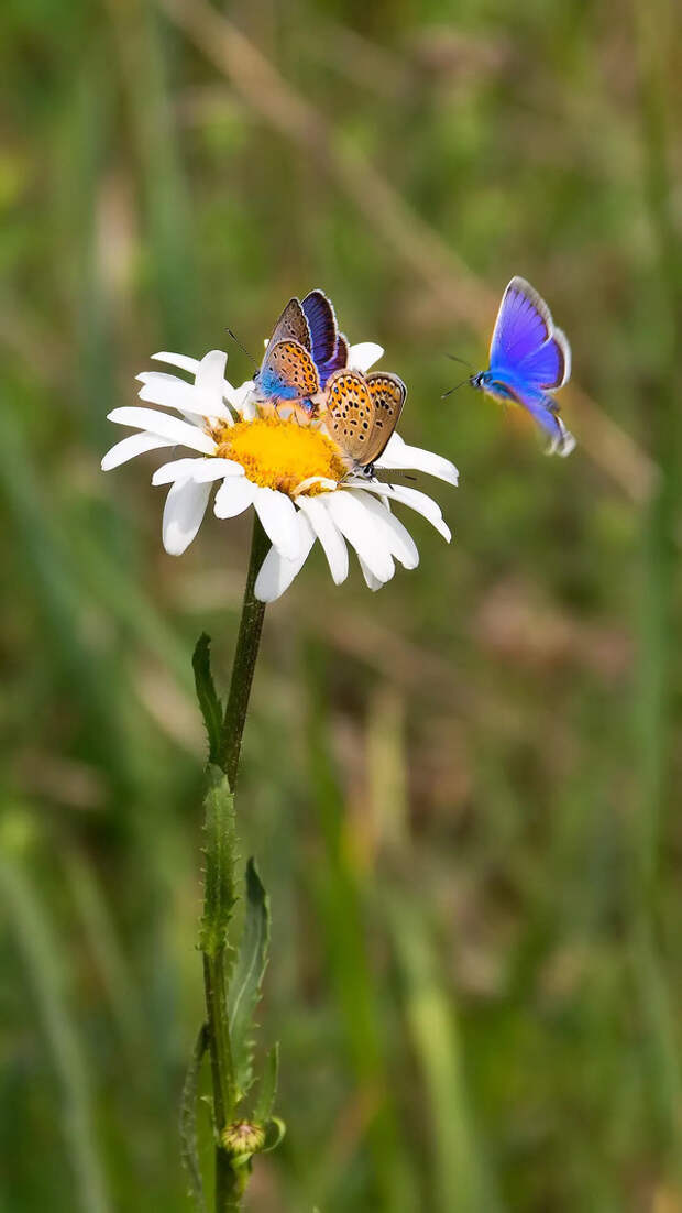 Доброе утро! И хорошего дня!