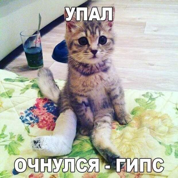 Упал, очнулся, гипс Упал, очнулся, гипс