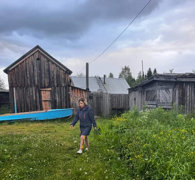 10 дачных ошибок, которые опустошат ваш кошелёк в 2026 году: проверьте себя прямо сейчас