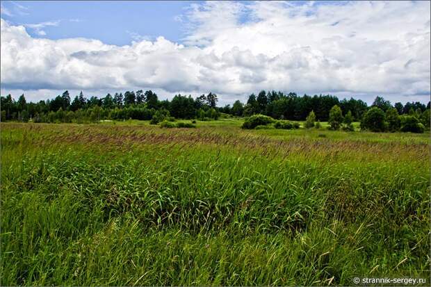 пойма реки заливные луга