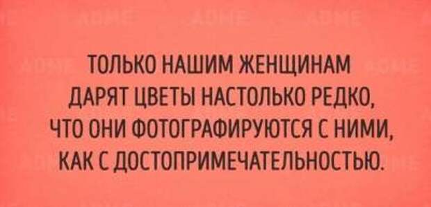 Минутка юмора: смешные открытки для поднятия настроения Минутка юмора: смешные открытки для поднятия настроения