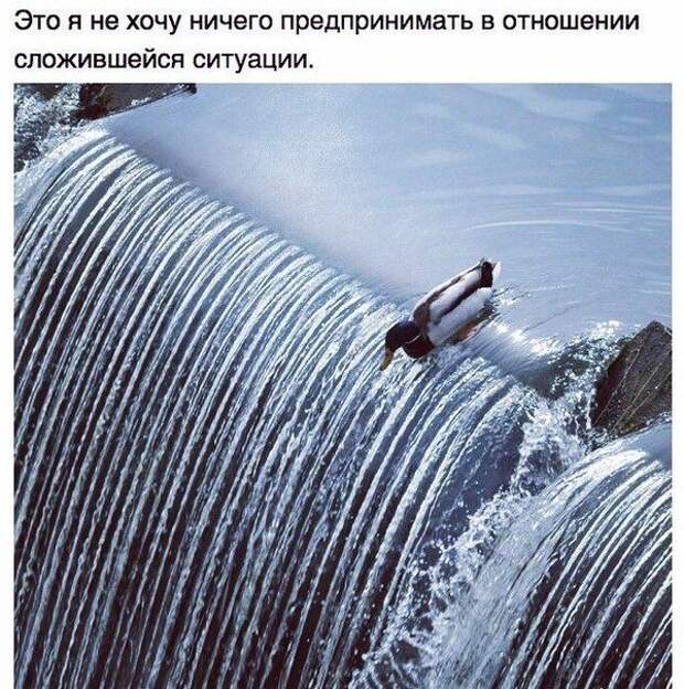 Подборка прикольных фото №1077 (103 фото)